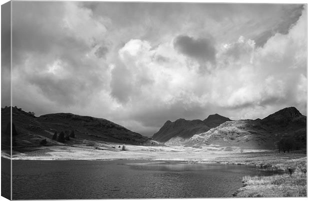 Blea Tarn with Langdale Pikes beyond. Cumbria, UK. Canvas Print by Liam Grant