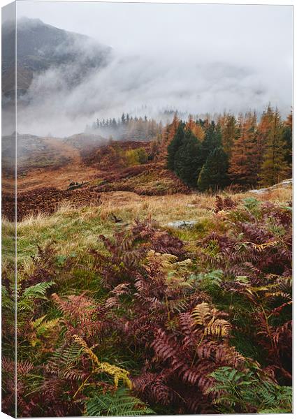 Rain clouds sweeping through the mountains near Bl Canvas Print by Liam Grant