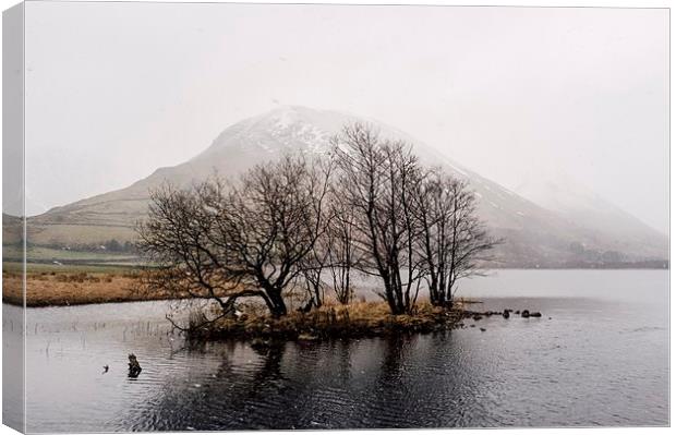Snow blizzard over Brothers Water. Cumbria, UK. Canvas Print by Liam Grant