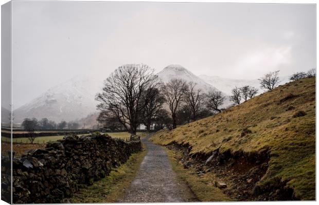 Snow blizzard and footpath to a remote cottage. Cu Canvas Print by Liam Grant