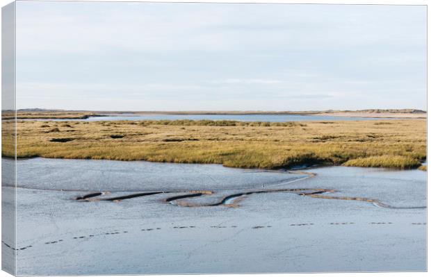 Low tide salt marsh at Burnham Overy Staithe, Norf Canvas Print by Liam Grant