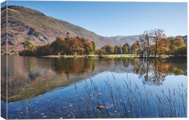 Reflections and autumnal colour. Ullswater, Cumbri Canvas Print by Liam Grant