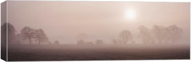 Sun rising through fog above a row of trees. Norfo Canvas Print by Liam Grant