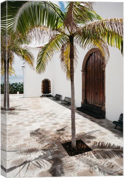 Palm tree growing in the street. La Palma, Canary  Canvas Print by Liam Grant