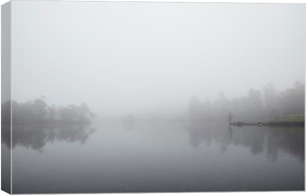 Fog and reflections. Tarn Hows, Cumbria, UK. Canvas Print by Liam Grant