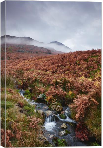 Cinderdale Beck and Whiteless Pike in cloud. Cumbr Canvas Print by Liam Grant
