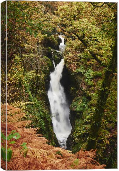 Aira Force waterfall. Cumbria, UK. Canvas Print by Liam Grant