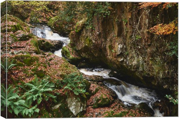 Waterfall leading to Aira Force. Cumbria, UK. Canvas Print by Liam Grant