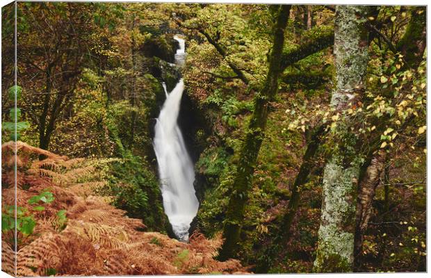 Aira Force waterfall. Cumbria, UK. Canvas Print by Liam Grant