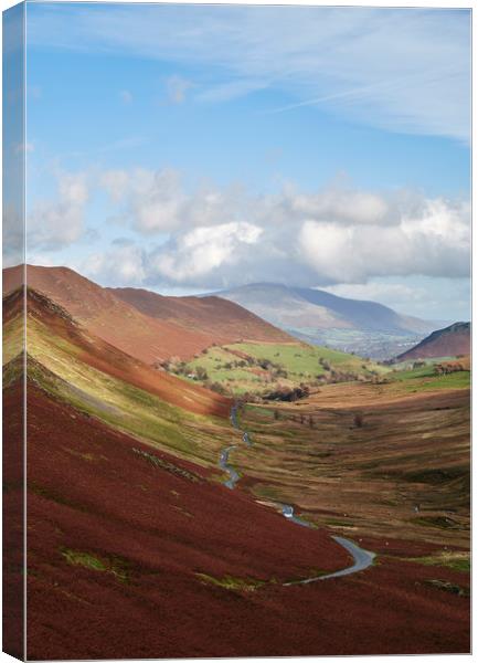 View to Keskadale. Cumbria, UK. Canvas Print by Liam Grant
