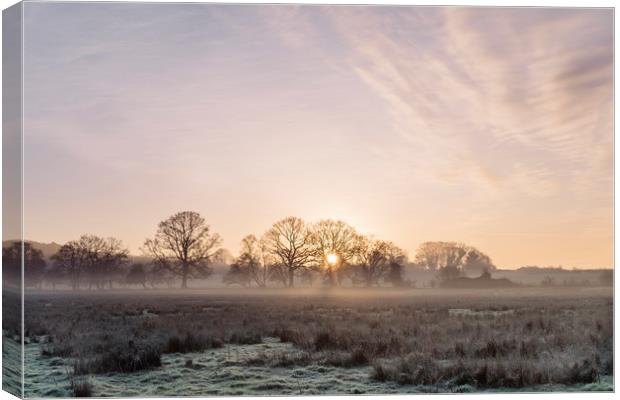 Sunrise and mist on a frosty morning. Norfolk, UK. Canvas Print by Liam Grant