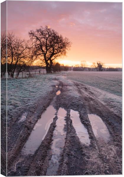 Frozen farm track at sunrise. Cressingham, Norfolk Canvas Print by Liam Grant