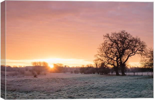 Frost covered field at sunrise. Cressingham, Norfo Canvas Print by Liam Grant