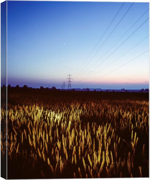 Wheat field and electricity pylon lit by torch lig Canvas Print by Liam Grant