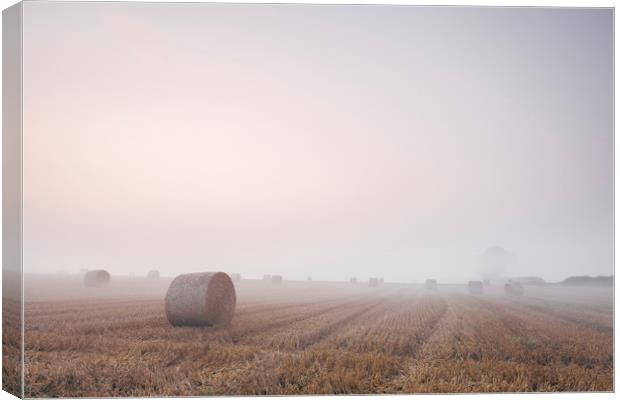 Round bales in a stubble field bound with fog at d Canvas Print by Liam Grant