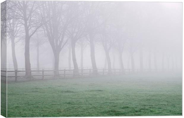 Fence beside an avenue of trees in fog. Norfolk, U Canvas Print by Liam Grant