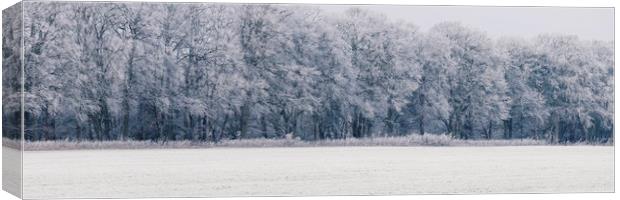 Edge of a woodland covered in a thick hoar frost.  Canvas Print by Liam Grant