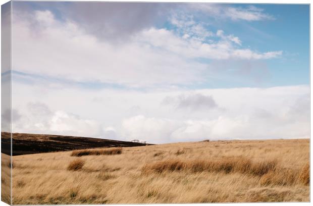 Sunlight over moorland. Derbyshire, UK. Canvas Print by Liam Grant