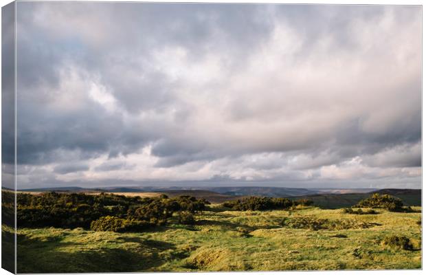 Gorse bushes on a hilltop at sunset. Derbyshire, U Canvas Print by Liam Grant