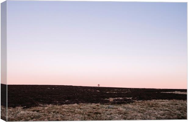 Lone tree on moorland at twilight. Derbyshire, UK. Canvas Print by Liam Grant