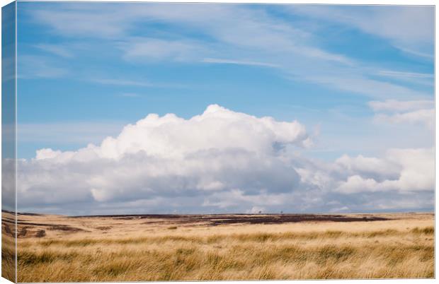 Blue sky and white clouds above sunlit moorland. D Canvas Print by Liam Grant