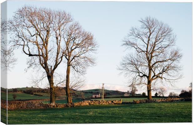 Trees and barns at sunset, above Matlock. Derbyshi Canvas Print by Liam Grant