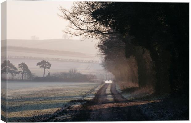 Rays of sunlight and frost along a remote country  Canvas Print by Liam Grant
