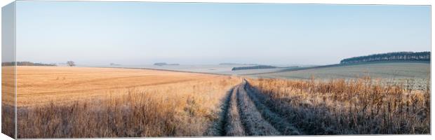 Frost covered track through fields at sunrise. Nor Canvas Print by Liam Grant