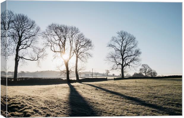 Sunrise behind trees on a frosty morning. Derbyshi Canvas Print by Liam Grant