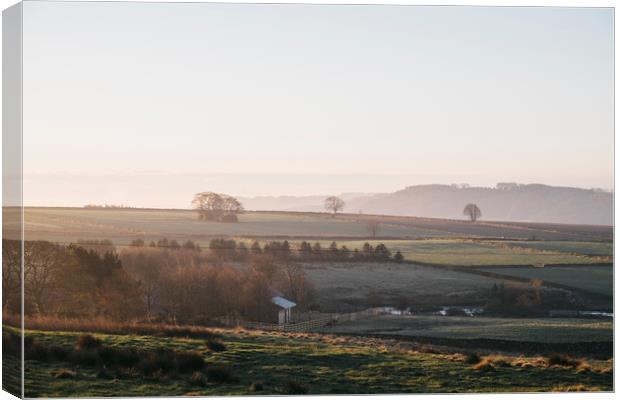 Early morning light at sunrise over a farm in Derb Canvas Print by Liam Grant