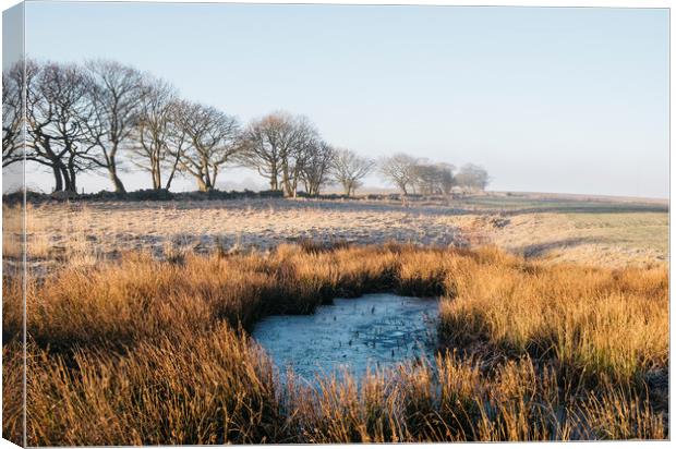 Frozen water and reeds lit by the sunrise. Derbysh Canvas Print by Liam Grant