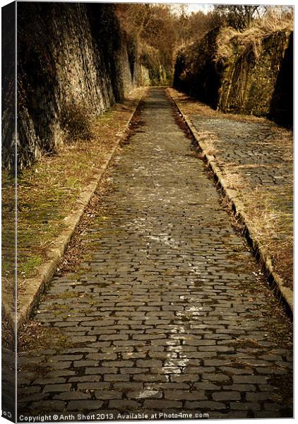 Cobbles Canvas Print by Anth Short