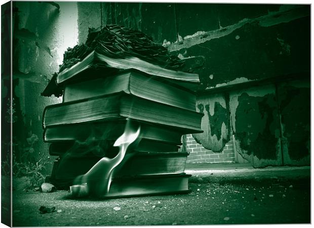 Destruction of Books Canvas Print by Anth Short