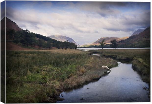 EARLY AUTUMN BUTTERMERE Canvas Print by Anthony R Dudley (LRPS)