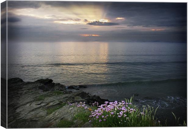 EVENING LIGHT St BRIDES BAY #1 Canvas Print by Anthony R Dudley (LRPS)