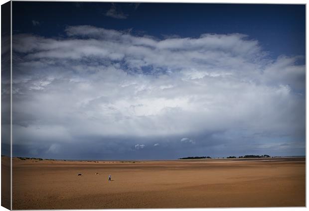 UNDER A BIG SKY Canvas Print by Anthony R Dudley (LRPS)