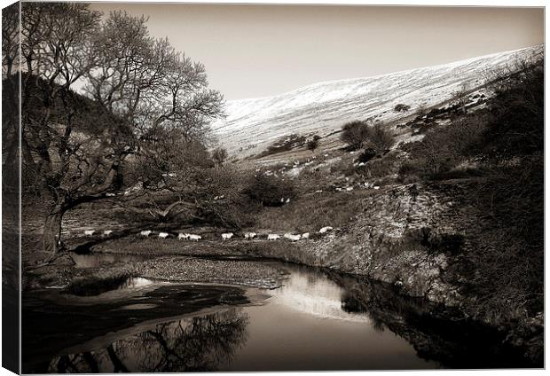 WINTER IN THE BRECON BEACONS Canvas Print by Anthony R Dudley (LRPS)