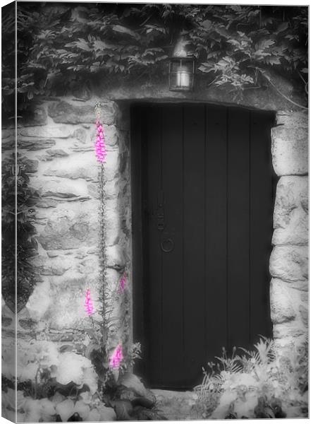THE SECRET DOOR Canvas Print by Anthony R Dudley (LRPS)