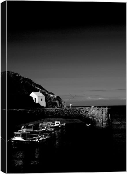 PORTHGAIN HARBOURMASTER'S COTTAGE Canvas Print by Anthony R Dudley (LRPS)