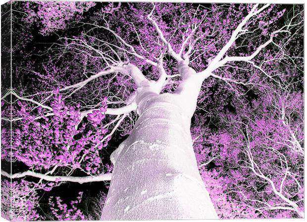 Psychedelic Tree Canvas Print by stephen walton