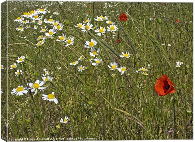 Splashes of red Canvas Print by Howard Corlett