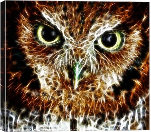 Screech owl fractal Canvas Print by Howard Corlett