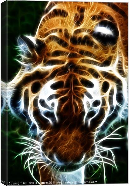 Tiger, tiger, burning bright Canvas Print by Howard Corlett