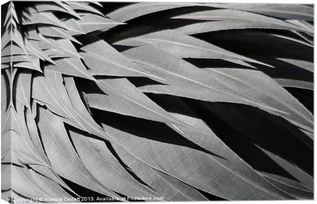 Black feather abstract Canvas Print by Howard Corlett