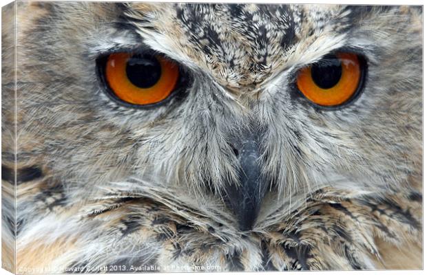 Eagle Owl Canvas Print by Howard Corlett