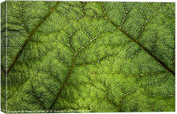 Natural network Canvas Print by Howard Corlett