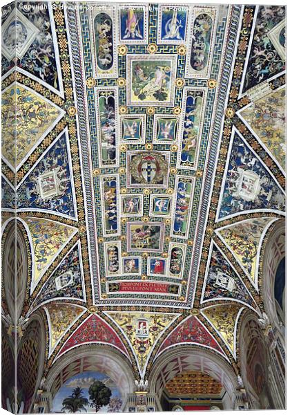 Piccolomini Library Ceiling  Canvas Print by Howard Corlett