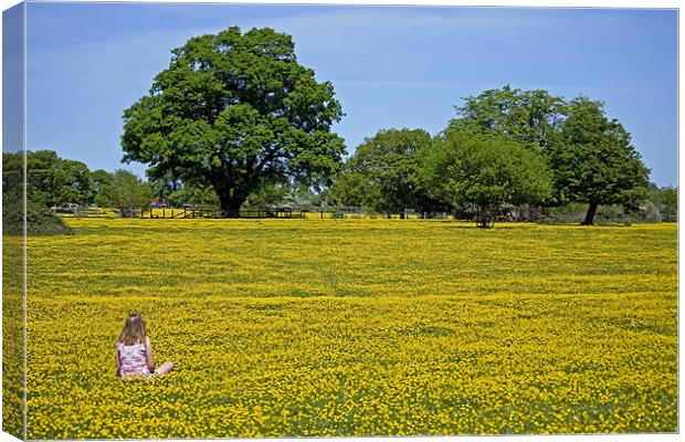 Girl in buttercup meadow Canvas Print by Howard Corlett