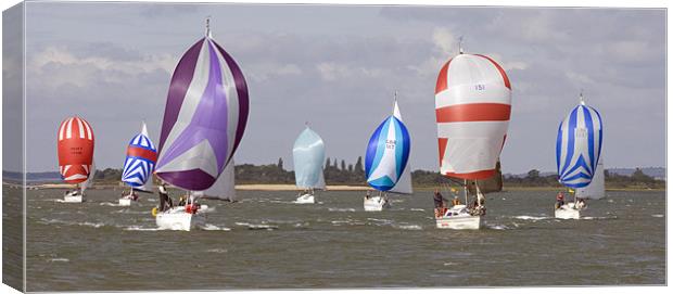 Spinnakers galore! Canvas Print by Howard Corlett