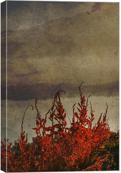 Dying weeds Canvas Print by Gary Miles